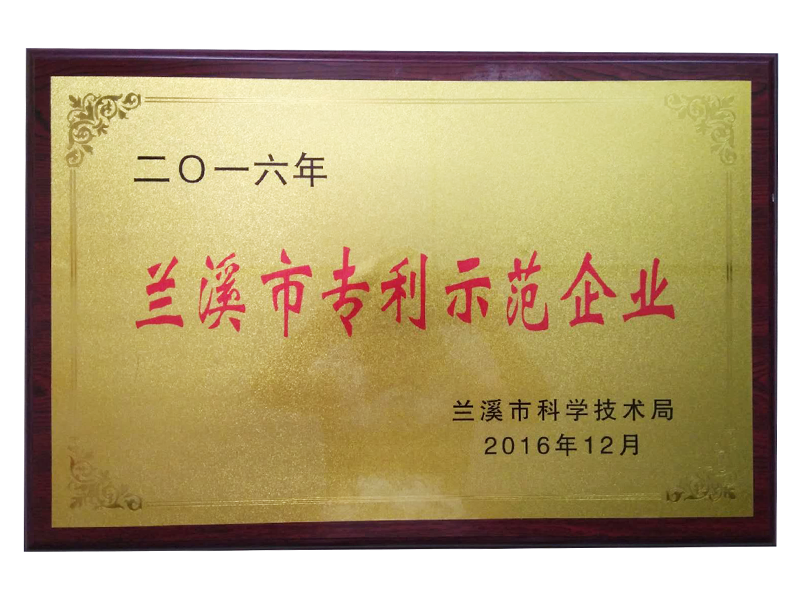 兰溪市专利示范企业
